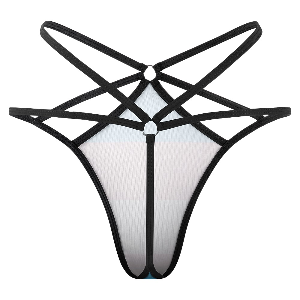 Transgender Pride Strappy Lingerie – alternate view 2